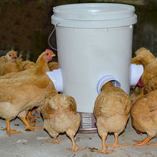 Load image into Gallery viewer, DIY Chicken Feeder (🔥NEW-50% OFF)