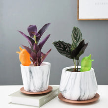 Load image into Gallery viewer, Self Spike Planter Drip Watering Bird 🐦